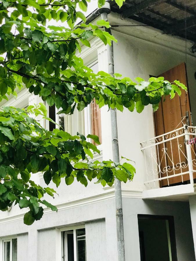 Anna Hostel Kobuleti Exterior photo